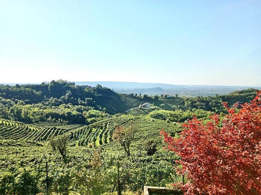 Relax Nelle Colline Del Prosecco Lejlighed Pederobba Eksteriør billede